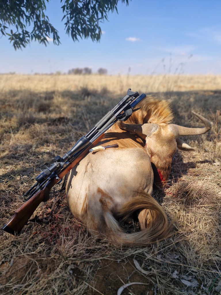 Ethical Trophy Hunting